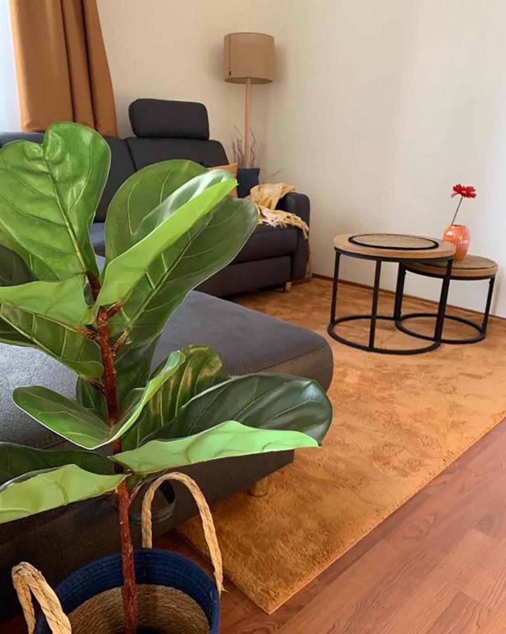 Sovirag Apartman エゲルサローク エクステリア 写真